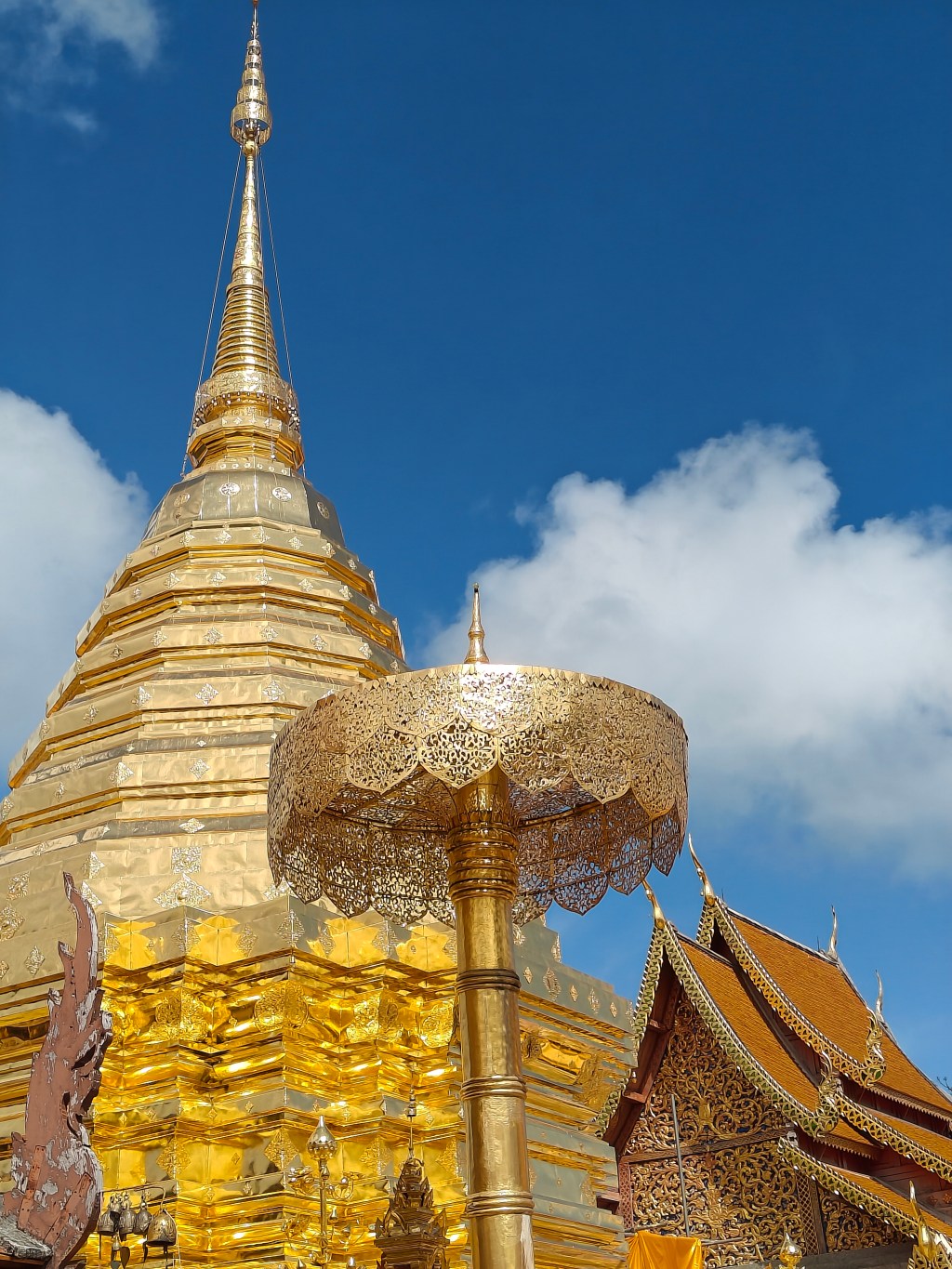 Chiang Mai, 24 de&nbsp;novembre